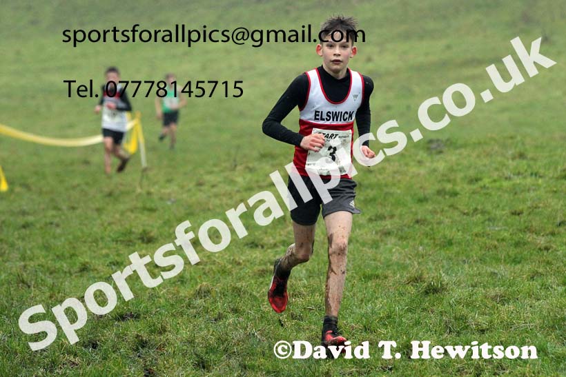 Boys under-13s, NECAA Junior Cross Country Relays, Thornley Farm, Peterlee, Saturday, December 12th. Photo: David T. Hewitson/Sports for All Pics